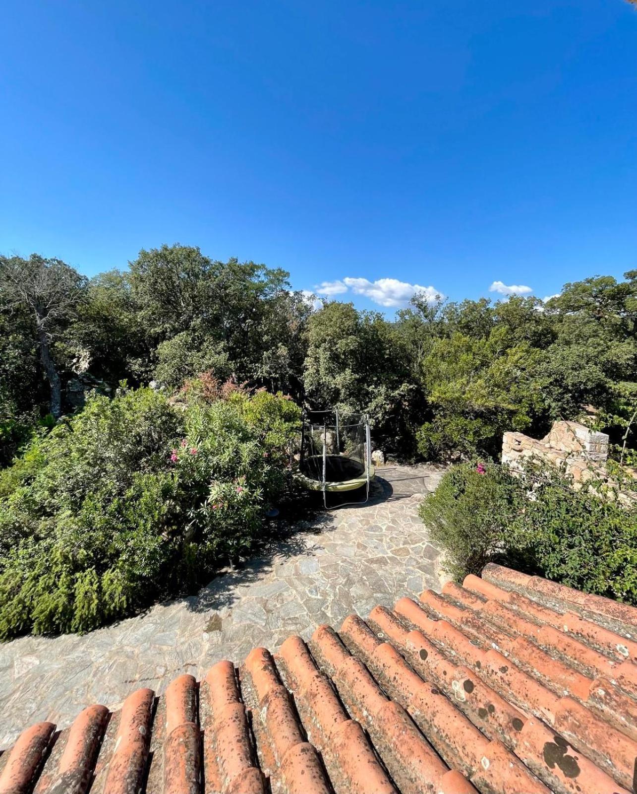Piana